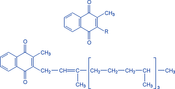 : http://www.vitamini.ru/img/formulas/vit_k1-4.gif